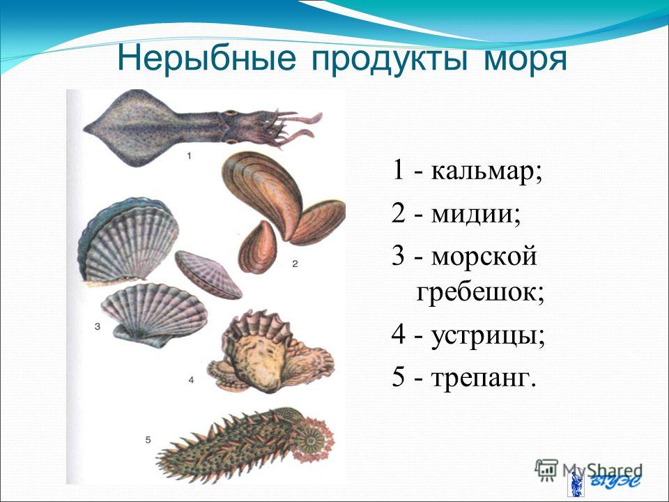 Что постряпать из слоеного теста рецепты Что постряпать из слоеного теста рецепты