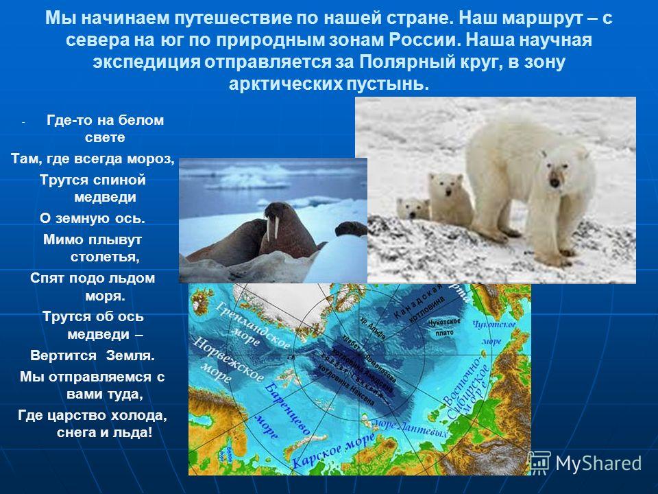 Открытый урок по географии 8 класс растительный и животный мир россии