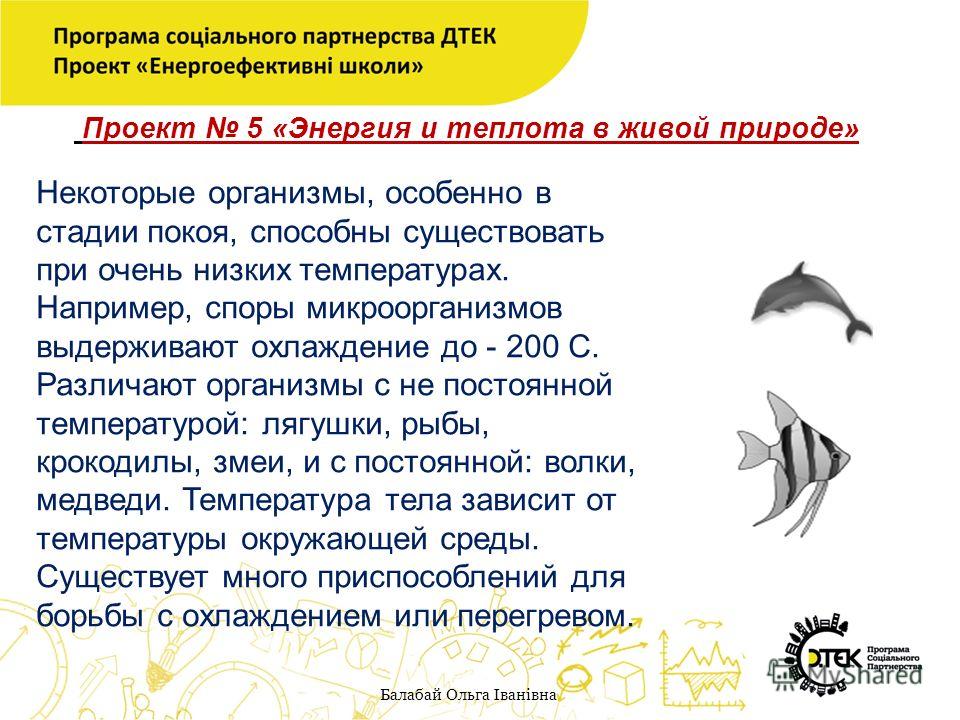 Как связана работа и энергия тела Как связана работа и энергия тела