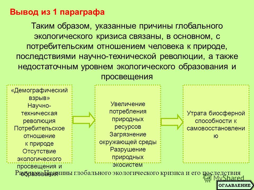 Как меняются молочные зубы у немецких овчарок Как меняются молочные зубы у немецких овчарок