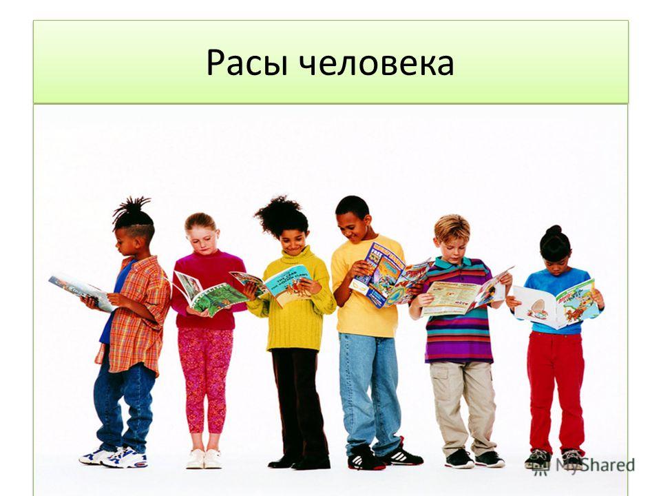 презентация скачать расы человека