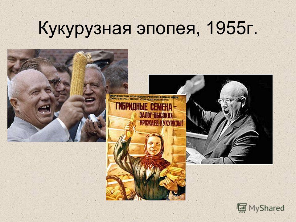 Кукурузная эпопея связано с деятельностью Кукурузная эпопея связано с деятельностью