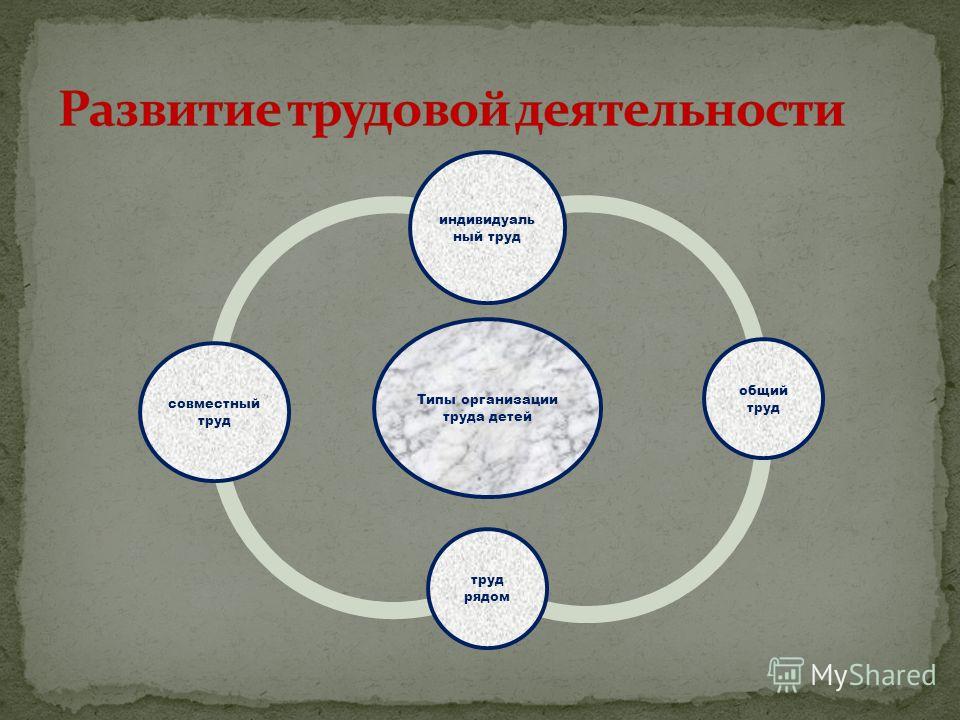 Труд взрослых в природе картинки Труд взрослых в природе картинки