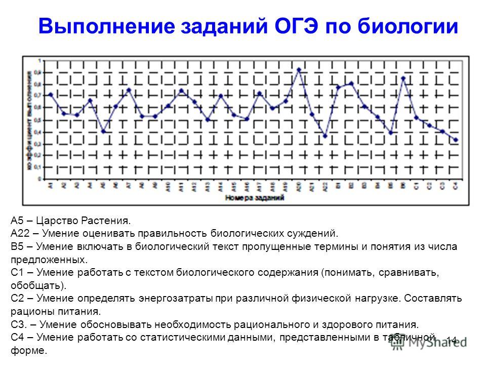 Биология основные понятия для огэ