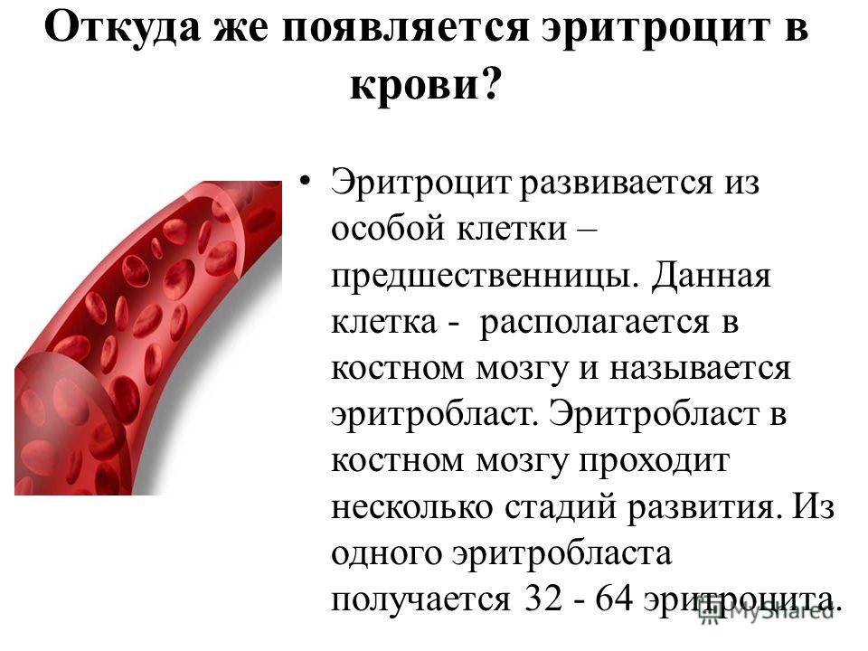 Почему При Сексе Появляется Кровь