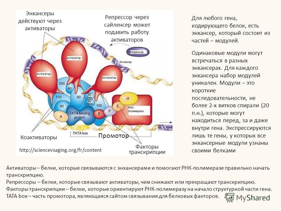Вяжешь транскрипция Вяжешь транскрипция