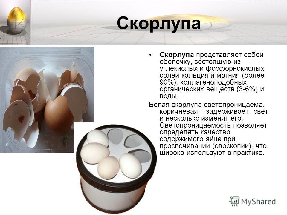 Как сделать кальцию из скорлупы яйца Как сделать кальцию из скорлупы яйца