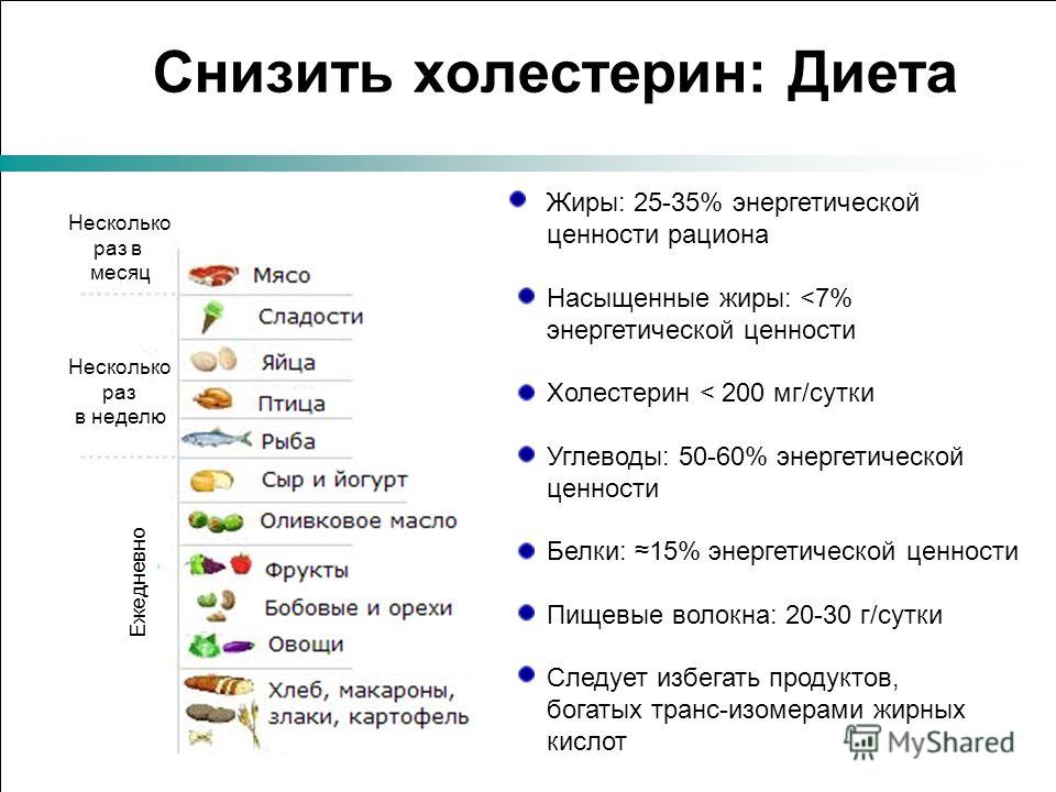 Основные Принципы Гипохолестериновой Диеты