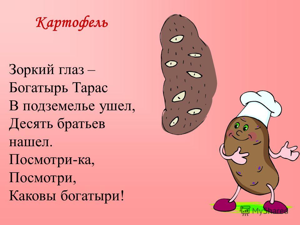 Стих картошка в мундире-моя дорогая Стих картошка в мундире-моя дорогая