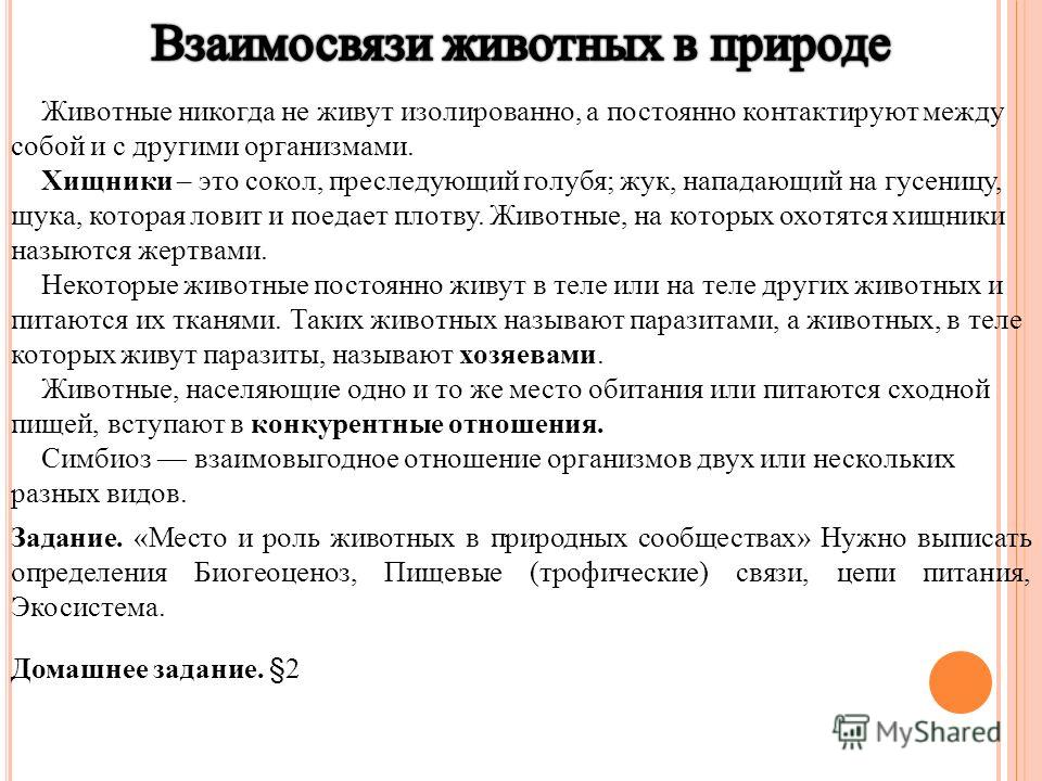 что за паразиты живут в человеке симптомы что за паразиты живут в человеке симптомы
