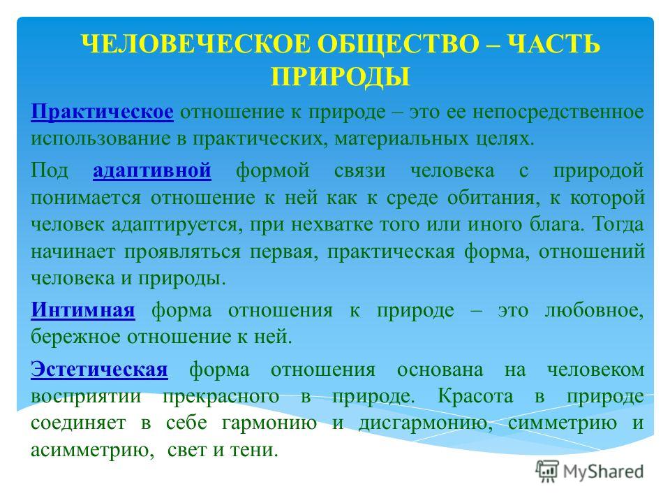 Реферат: Единство человека с природой