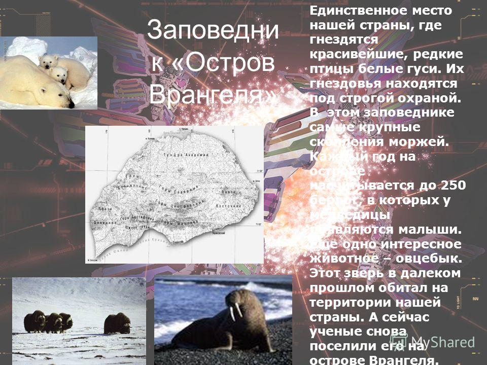 Презентация на тему: "Информационный проект "Объекты Всемирного природного насле