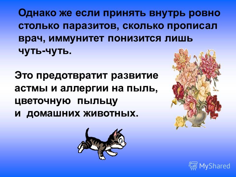 аллергия паразиты человека аллергия паразиты человека