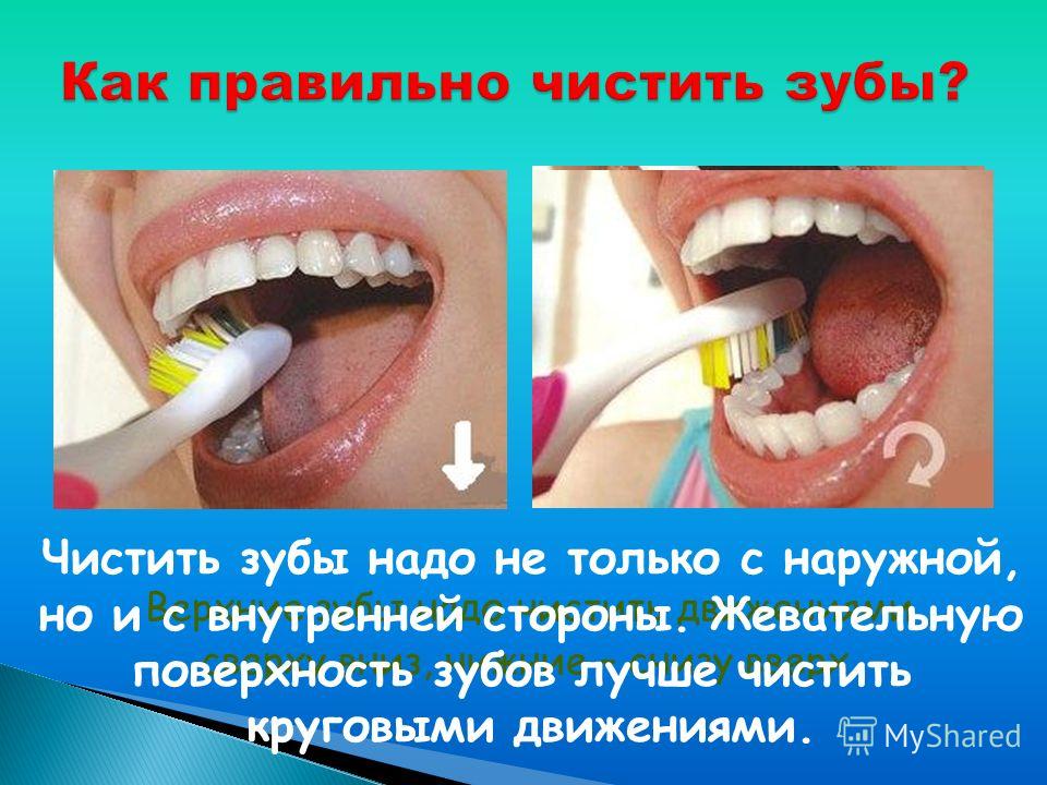 Жевательные зубы лучше сохранять Жевательные зубы лучше сохранять