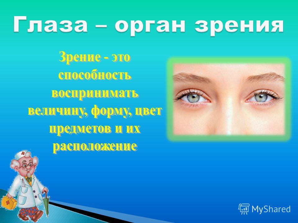 Глаза – орган зрения