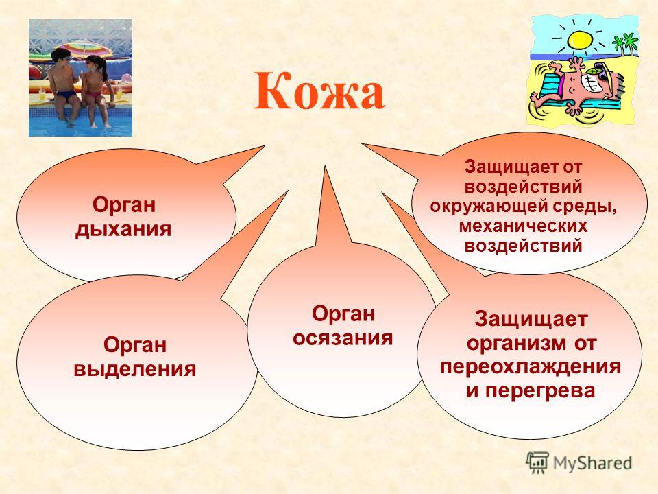 Защищенная кожа от окружающей среды Защищенная кожа от окружающей среды