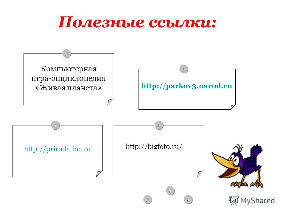 Почему воробей не улетают на юг Почему воробей не улетают на юг