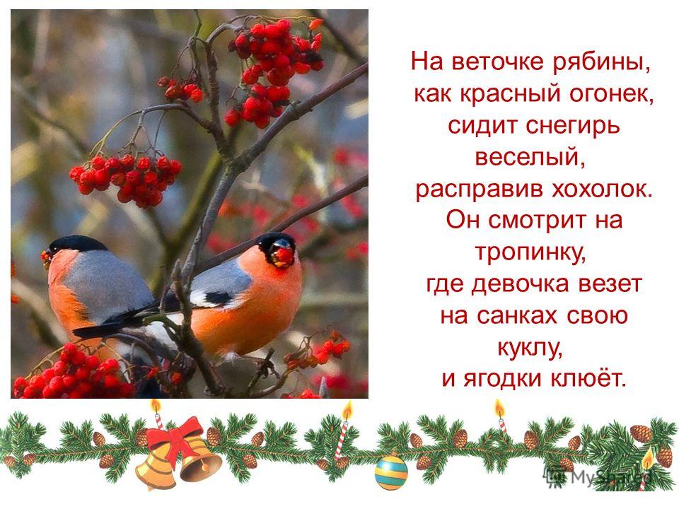 Поэтапное рисование рябины презентация 1 класс Поэтапное рисование рябины презентация 1 класс