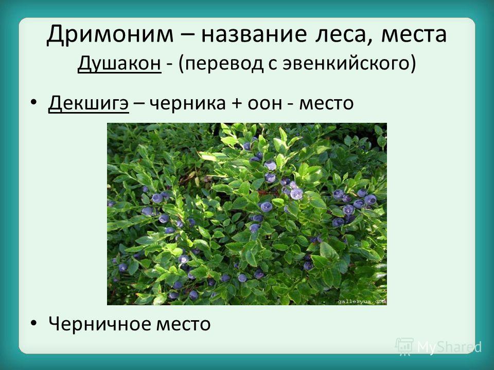 Имя связанное с лесом Имя связанное с лесом