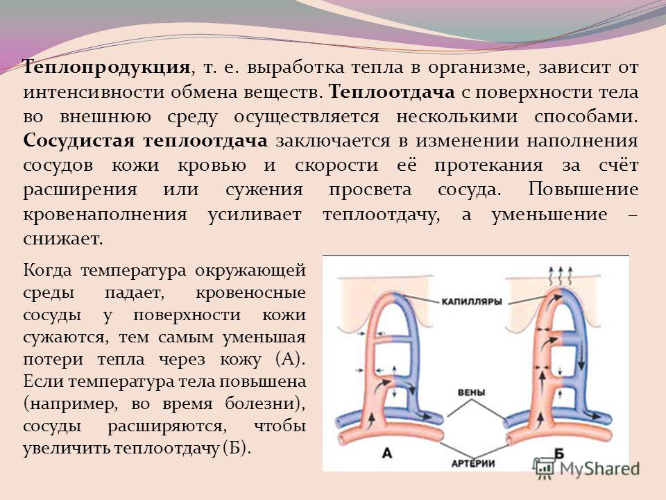 [PUNIQRANDLINE-(au-dating-names.txt) 23 Теплопроводность тканей организма реферат 2394