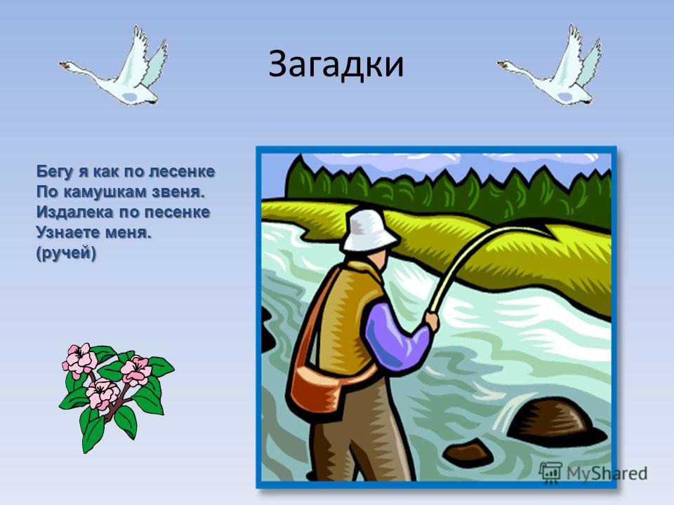 Погода и цены комнаты
