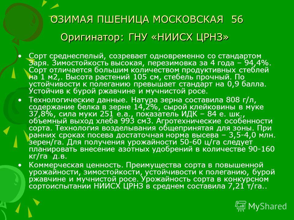 Сорт пшеницы московская 56 Сорт пшеницы московская 56