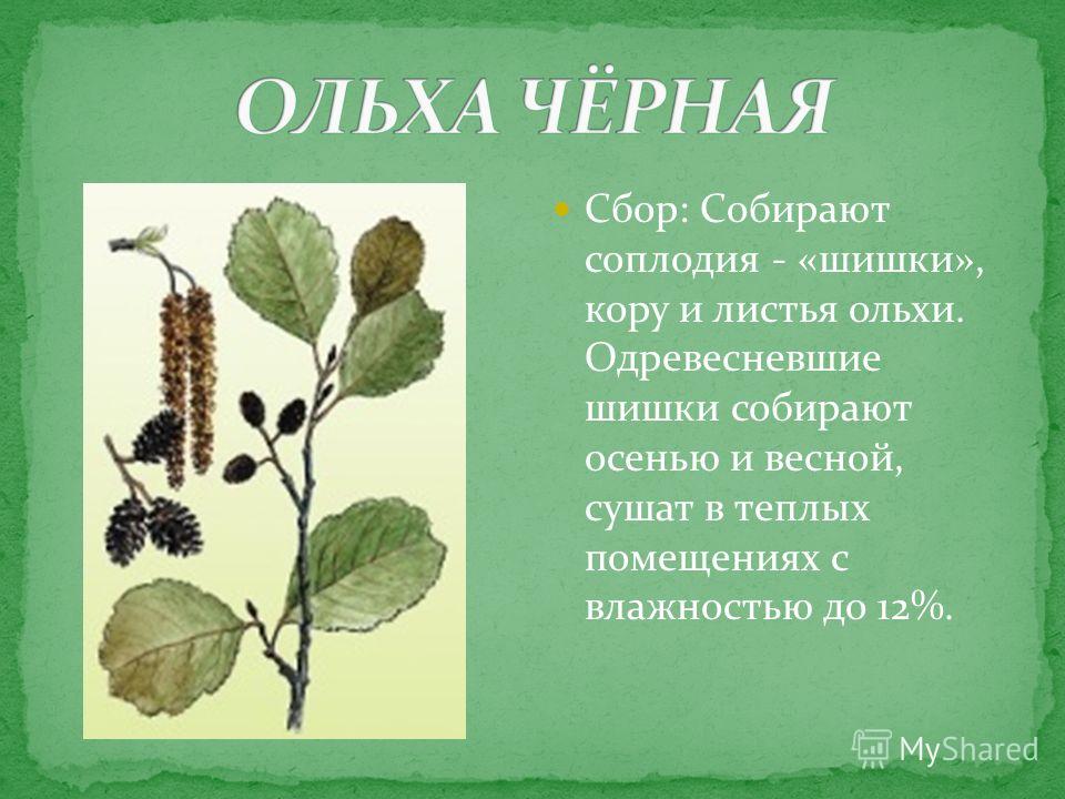 порно очень старых очень толстых порно очень старых очень толстых