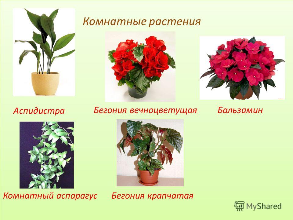 мужская мода лето осень фото