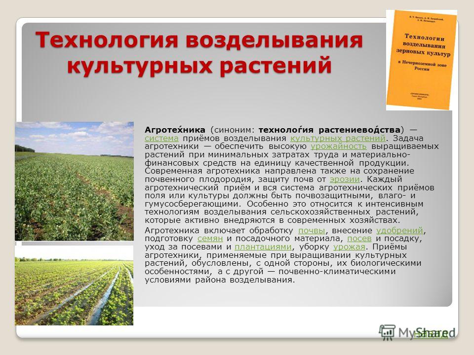 Конкурс профессиональный культур Конкурс профессиональный культур