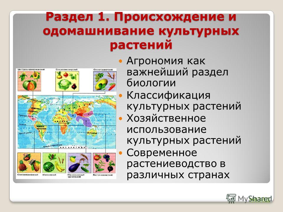 Всероссийский конкурс интернет-конкурс педагогического творчества 2012-2013 Всероссийский конкурс интернет-конкурс педагогического творчества 2012-2013