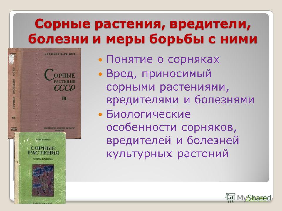 Вредители и болезни в посевах Вредители и болезни в посевах
