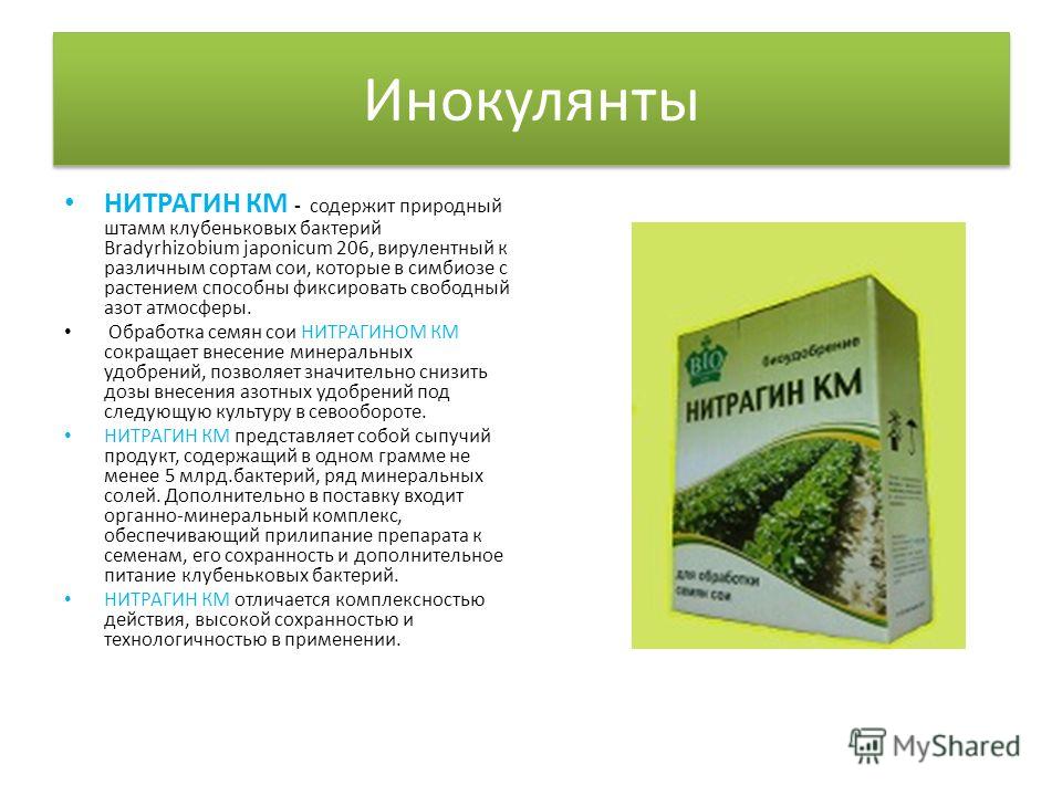 нитрагин инструкция по применению