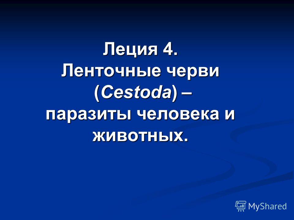 ленточные черви паразиты человека ленточные черви паразиты человека