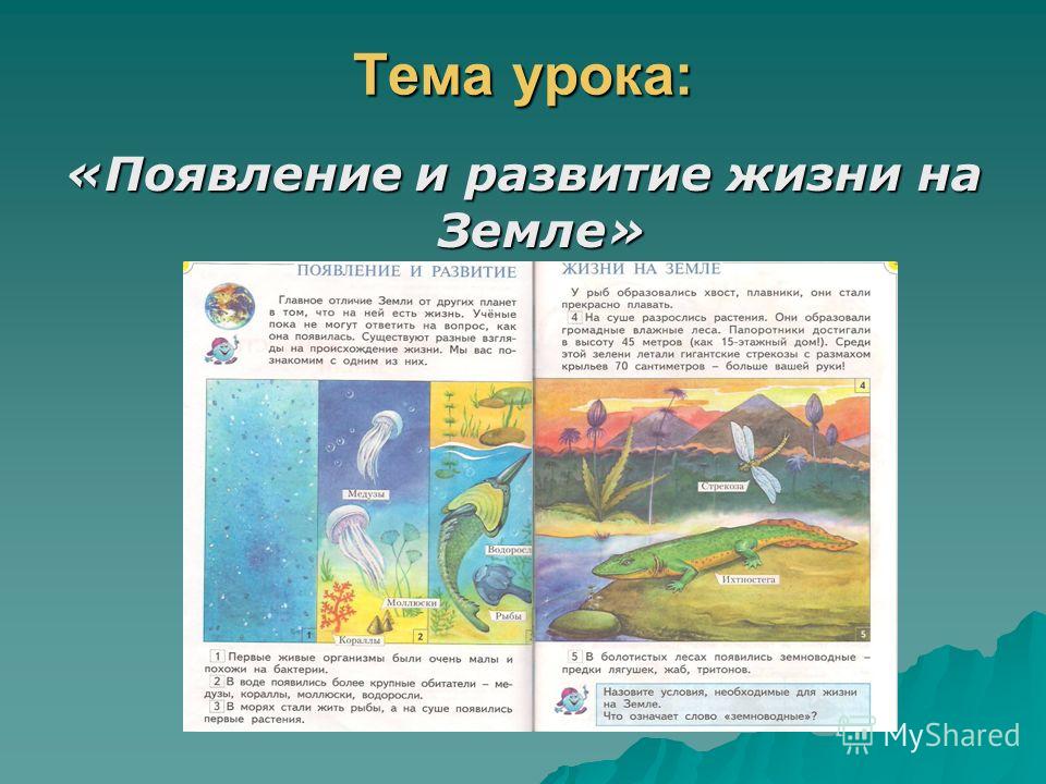 Вода самое удивительное вещество на земле проект по биологии