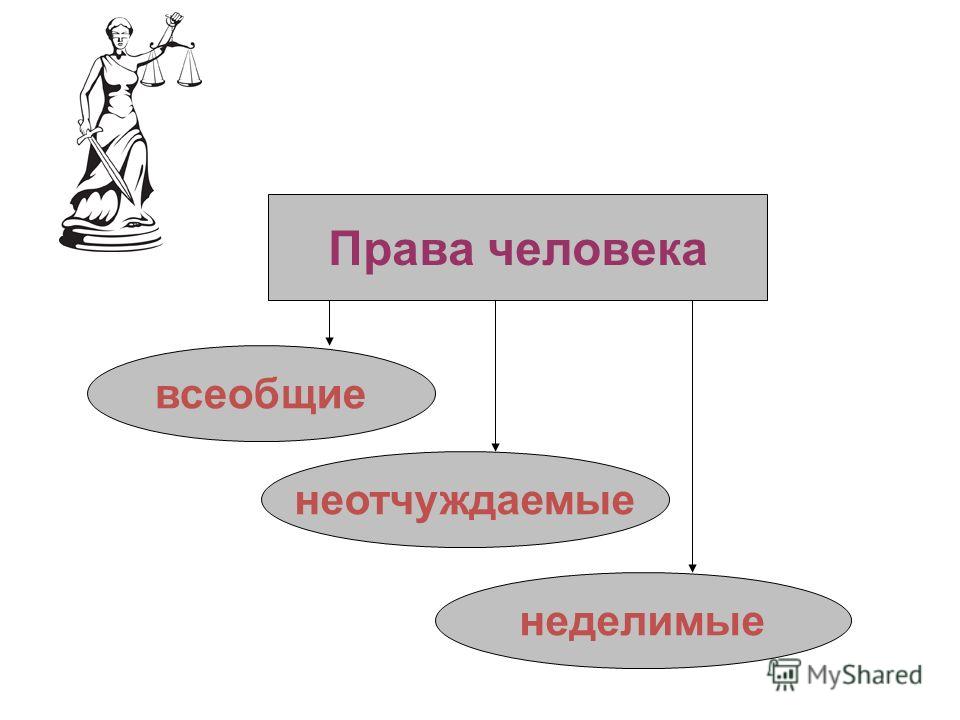 Какие бывают права человека примеры Презентация на тему: "Права и обязанности граждан. Что мы знаем? Что мы хотим уз