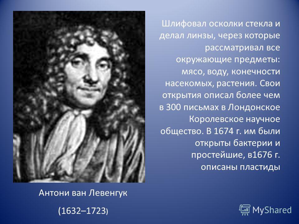 Zoon Что Такое