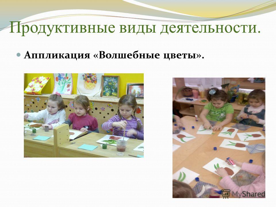 Аппликация в продуктивных видах деятельности Аппликация в продуктивных видах деятельности