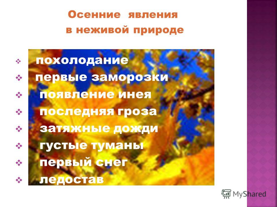 Летние месяца связаны с явлениями неживой природы Летние месяца связаны с явлениями неживой природы