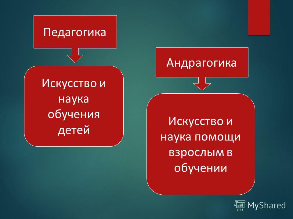 Зрелая Учит Мальчика Сексу