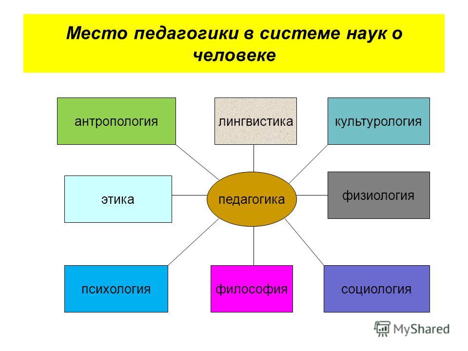 С какой наукой культурология связана наиболее тесно С какой наукой культурология связана наиболее тесно