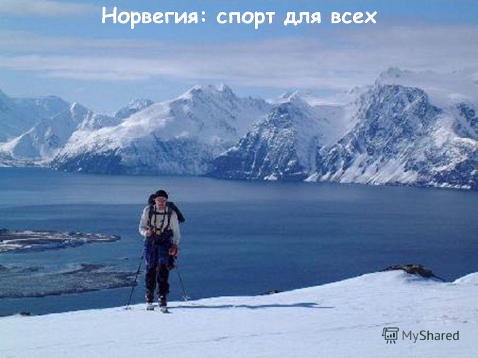 Норвегия Нарвик лыжи