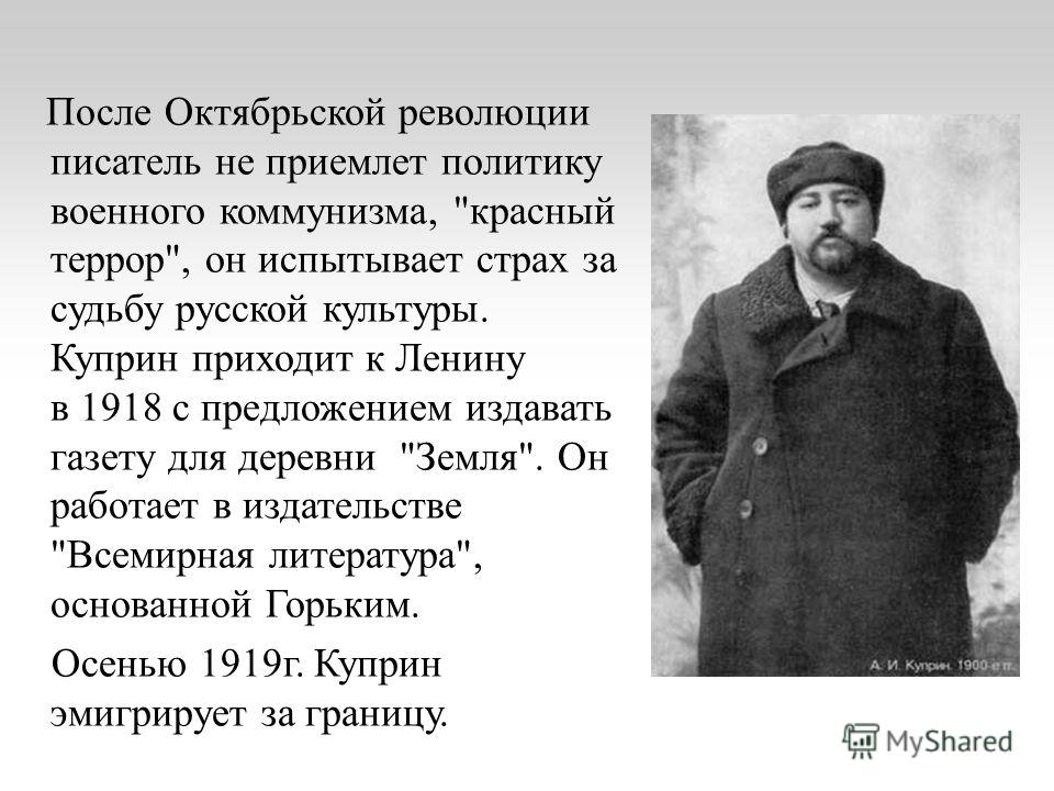 После Октябрьской революции писатель не приемлет политику военного коммунизма, 