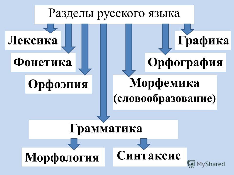 Доклад На Тему Словообразовательные Системы Русского Языка