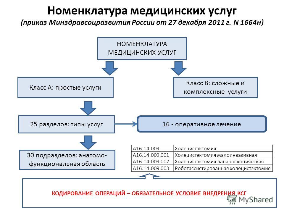 приказ 1664 номенклатура медуслуг