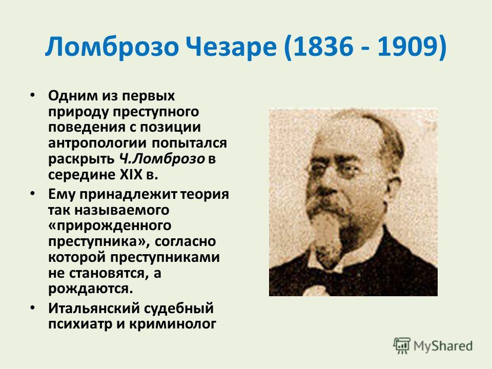 Учебник Столяренко Л. Д. Антропология