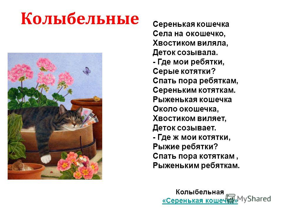 Текст песни кошка