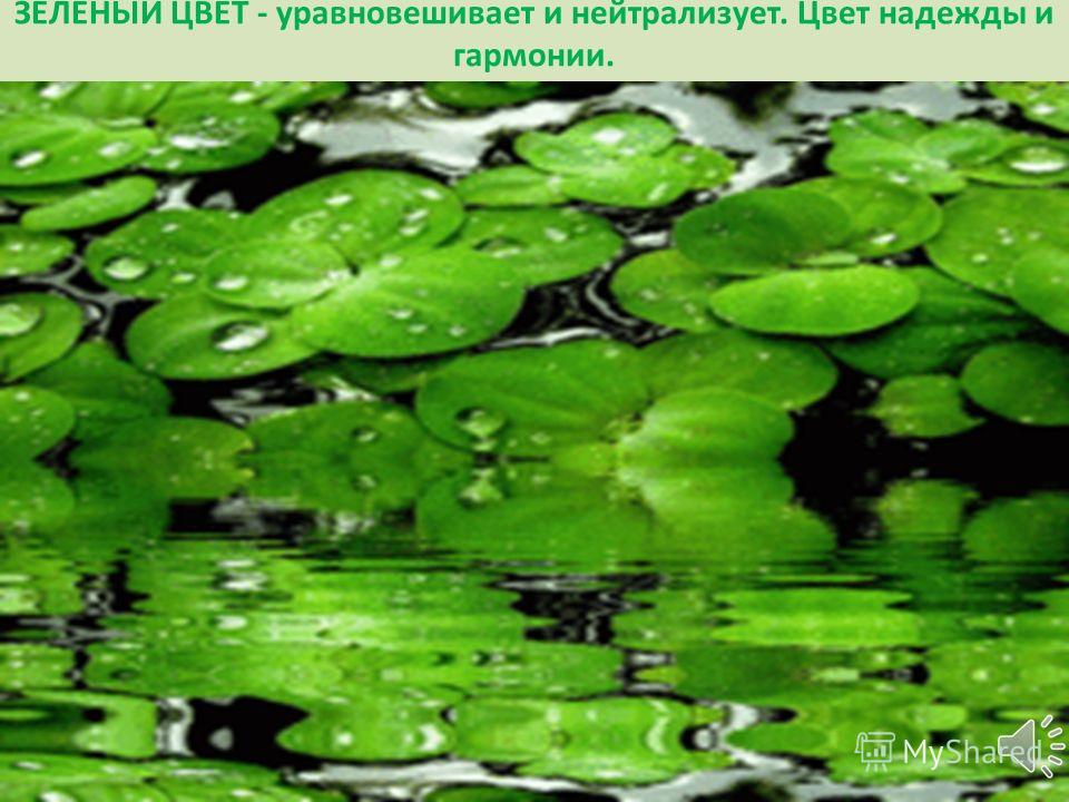 Зеленый Цвет Надежды