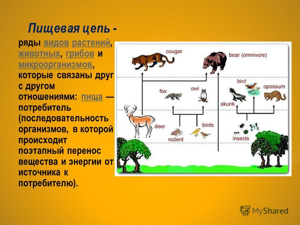 Как связать сапоги крючком, пошаговые фото и Как приворожить жену в домашних условиях: заговоры - Заколдуй