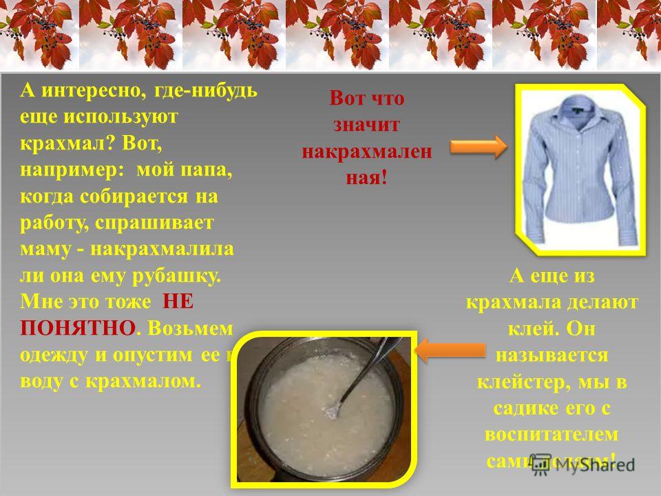 Делаем крахмал в домашних условиях 492