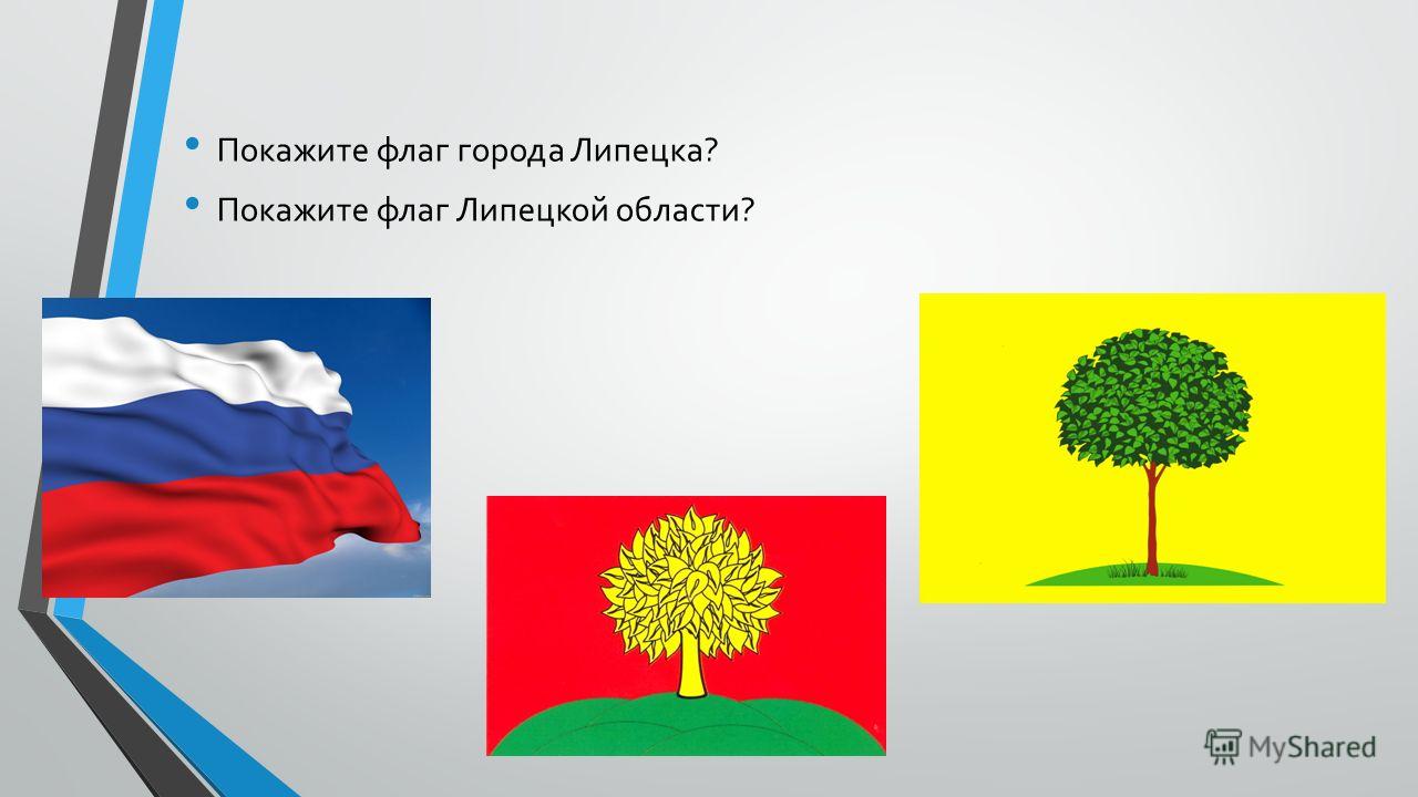 Флаг Липецкой Области Фото